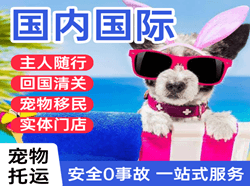 长水航空物流国际宠物托运 【国